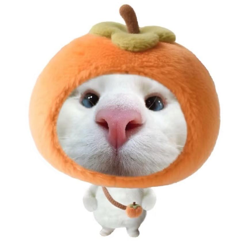 晴天的晴.