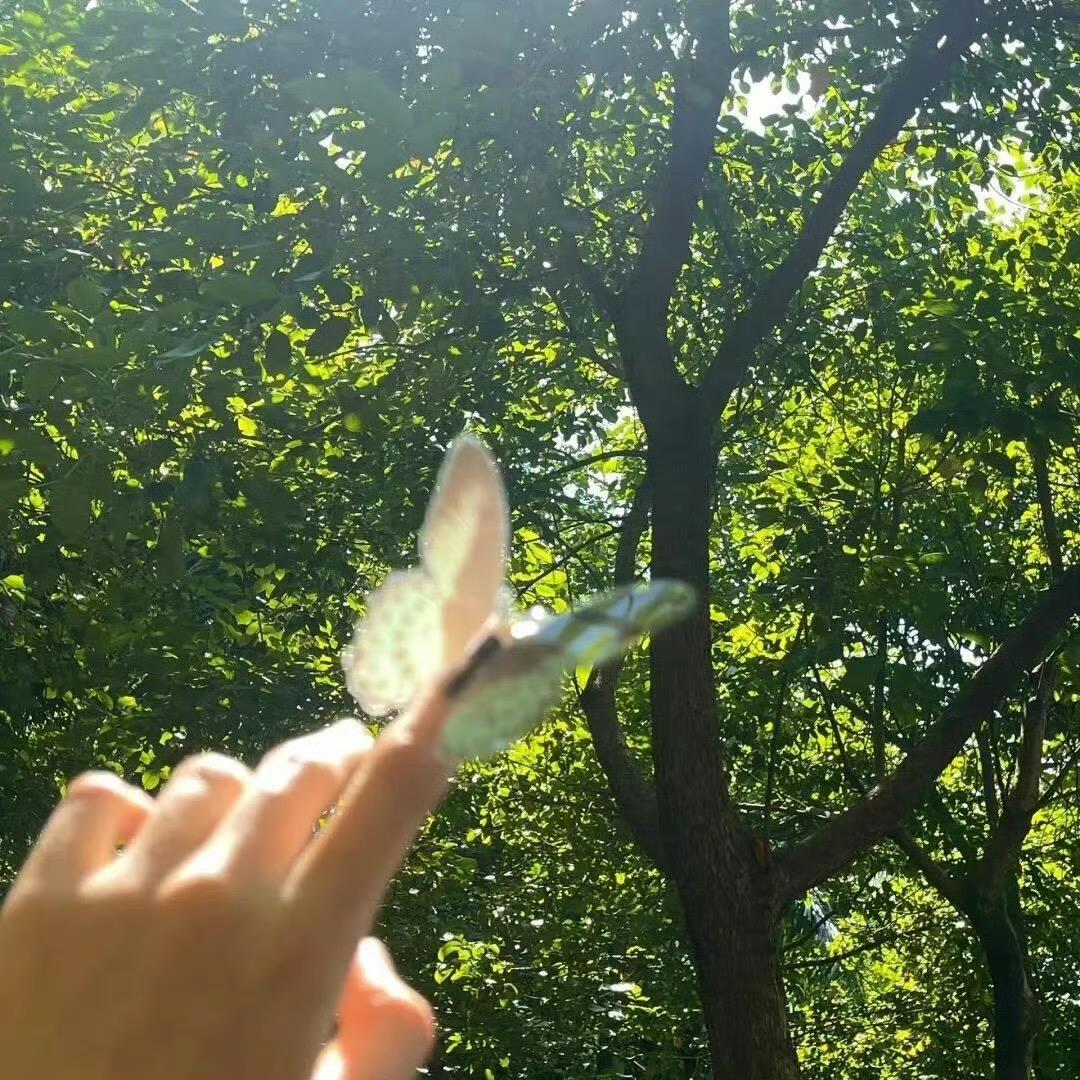 赵