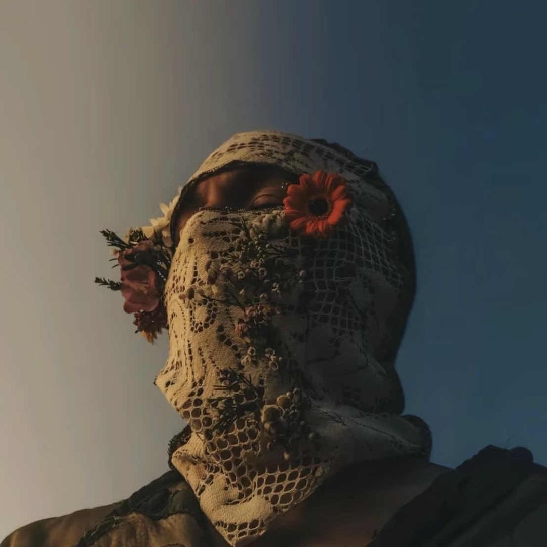 陈氏健康直播号