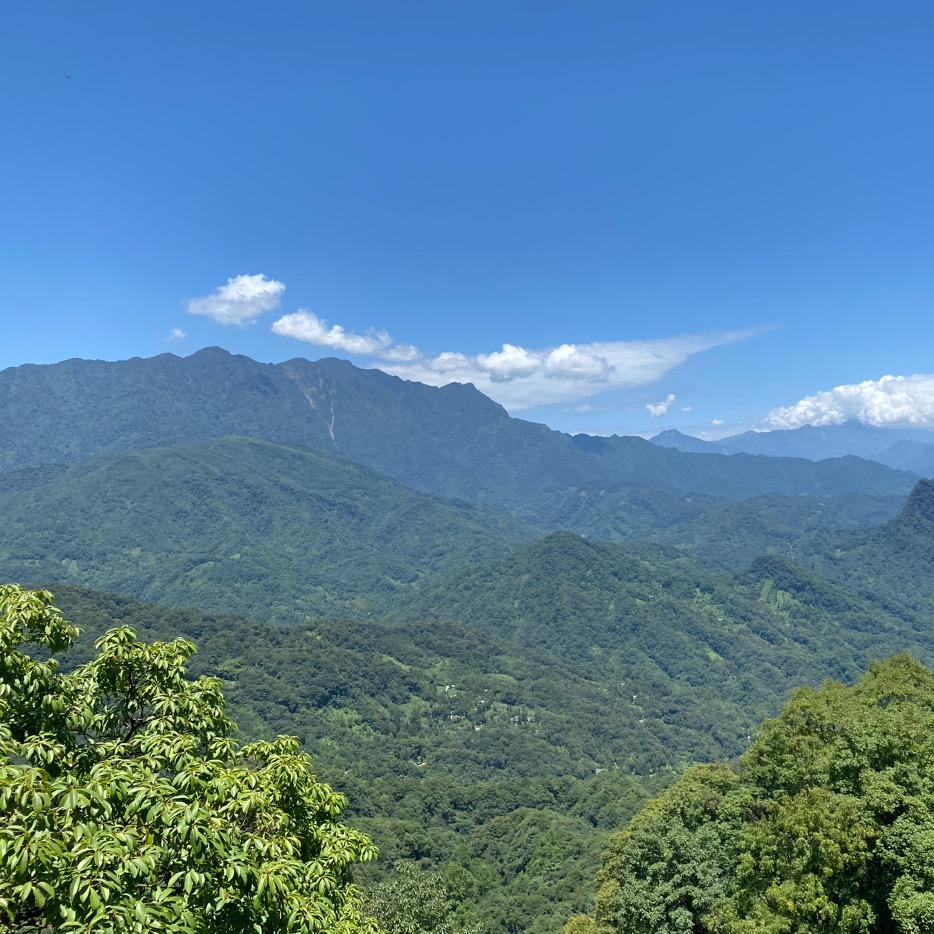 风口