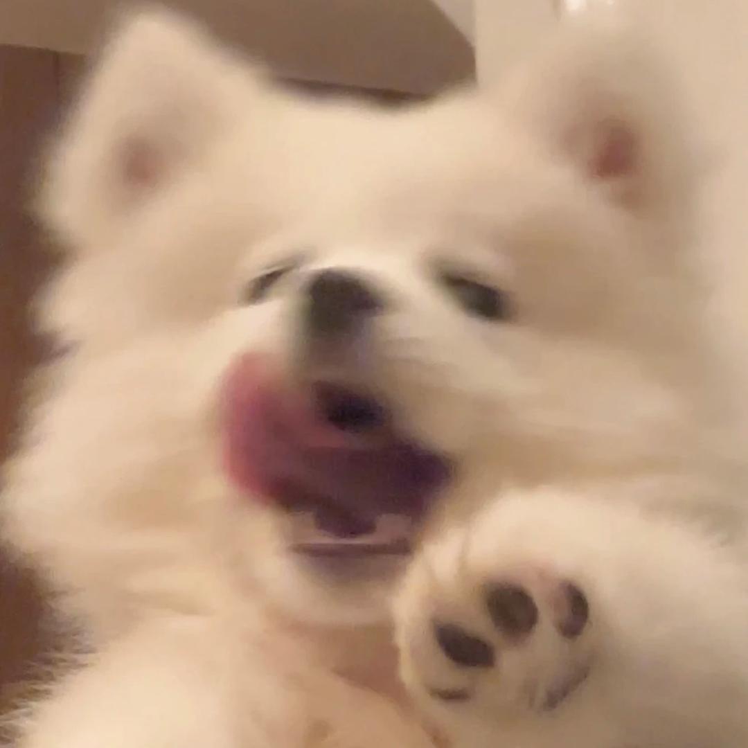 好了嘘