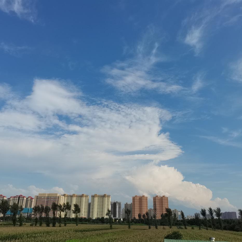 😘温俊