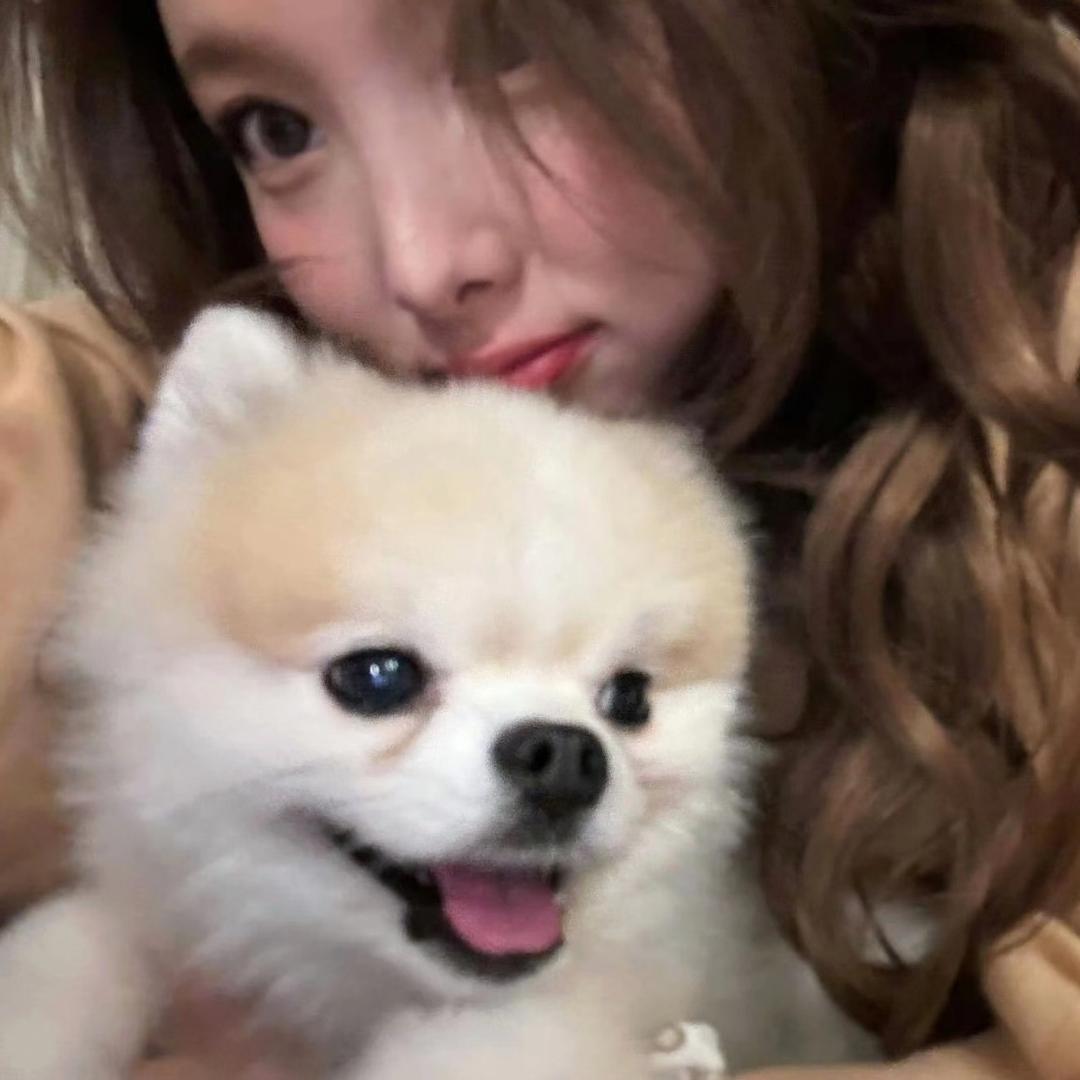 Sajeong
