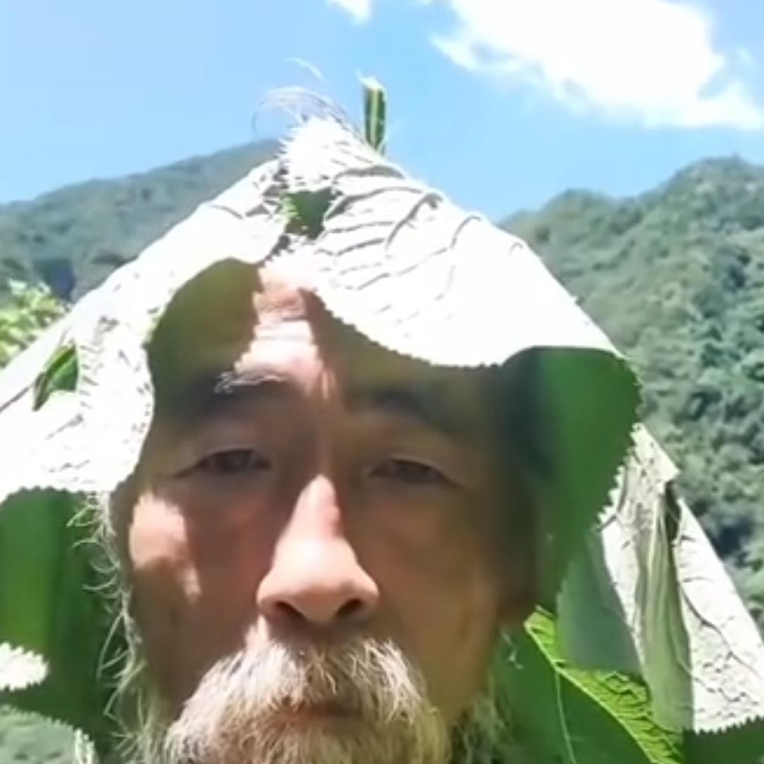 青椒肉丝盖浇饭🍛