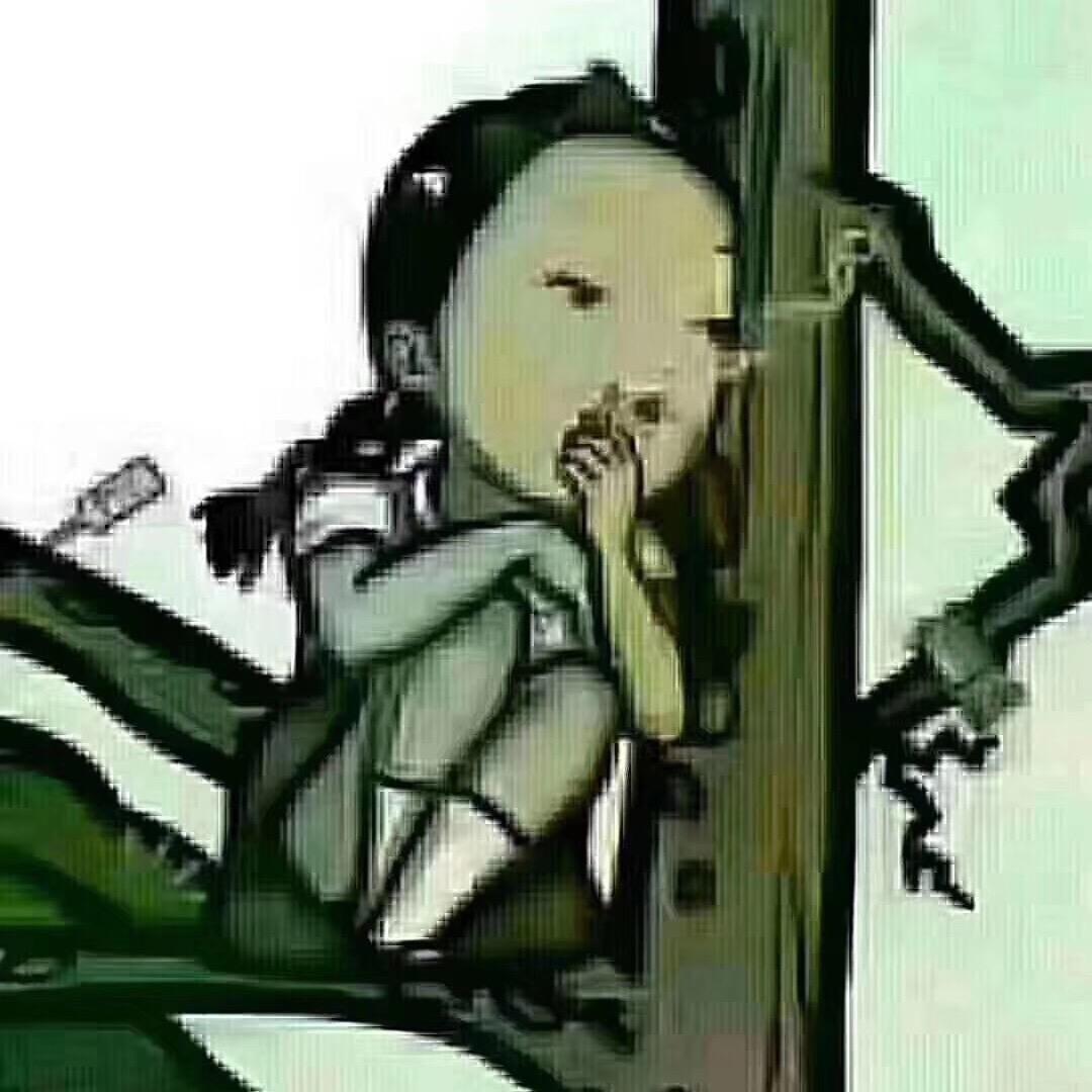 燕子飞