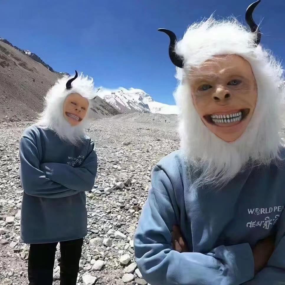 y 🐑。