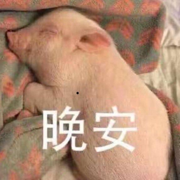 美乃滋拌饭