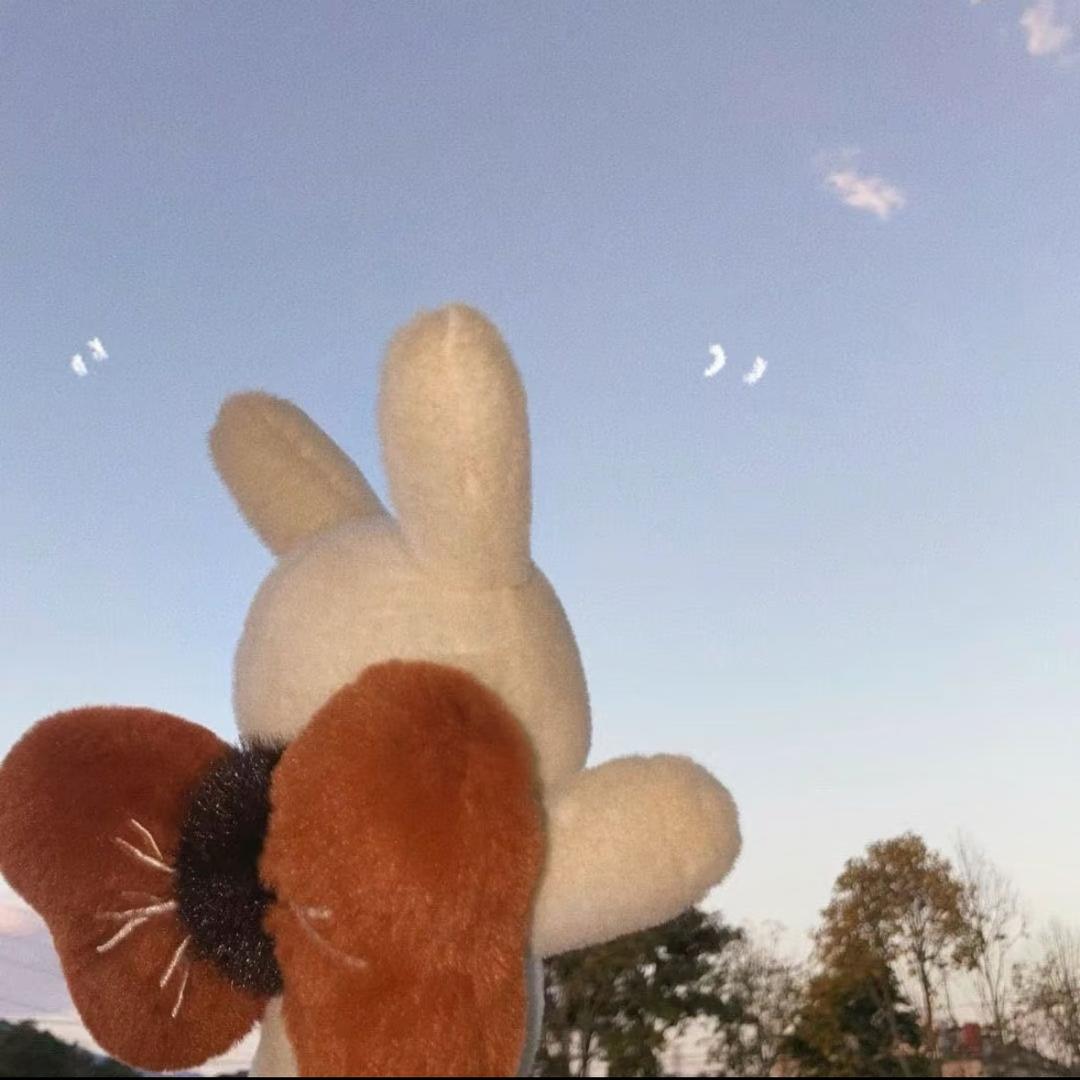 汤汤不写诗