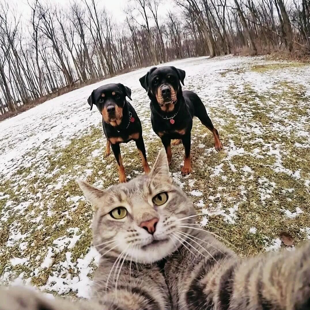 ㅤㅤㅤㅤㅤㅤㅤㅤ ㅤ正经人