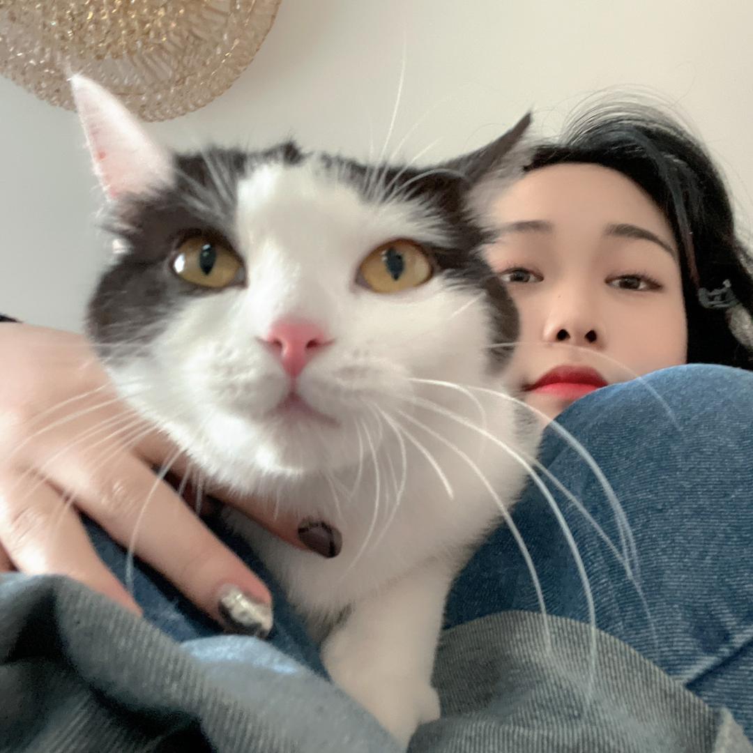 一觉睡到小时候🦄