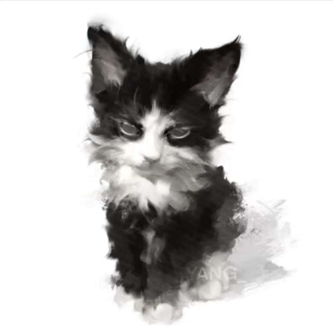你猪猪猪