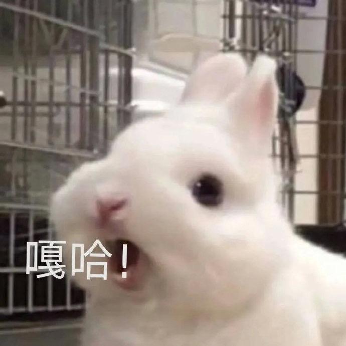 林茉