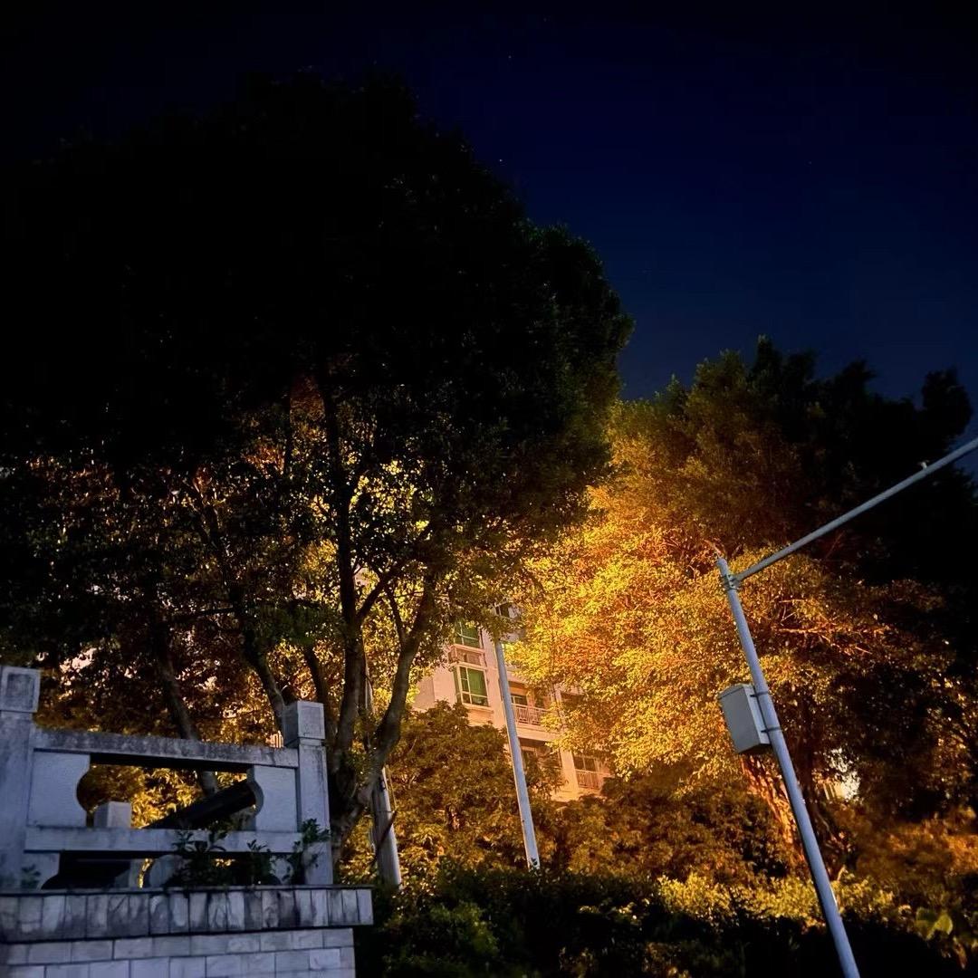 等快乐来探访