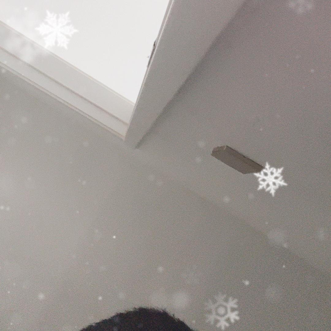 小艺-联淑