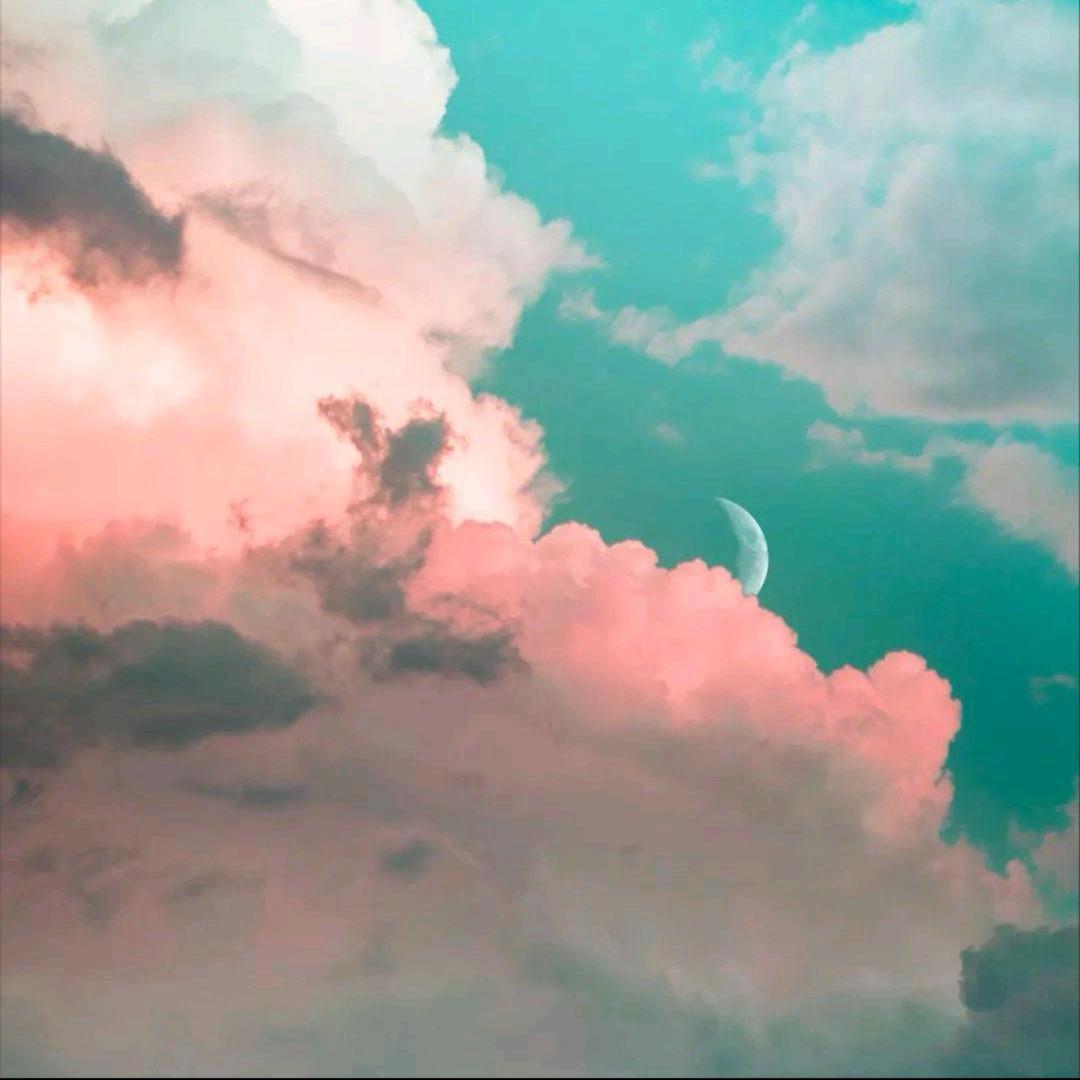 秀才