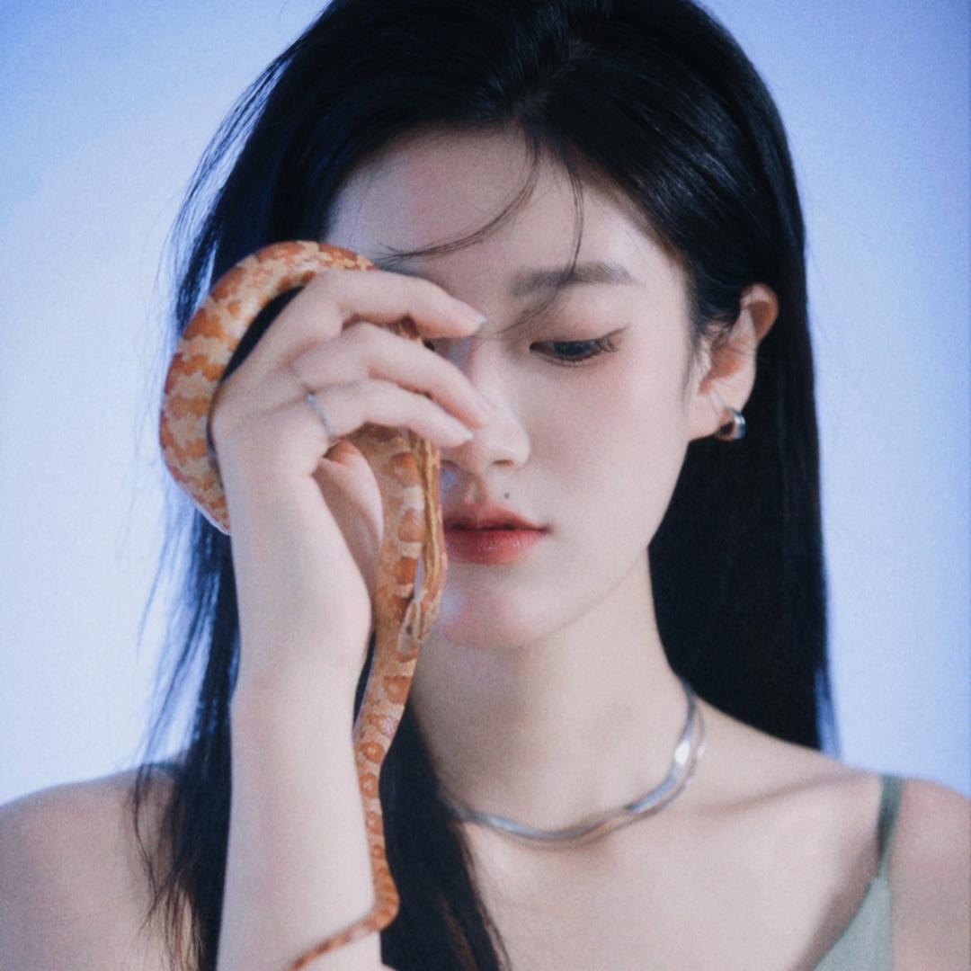 肥肉快快掉.