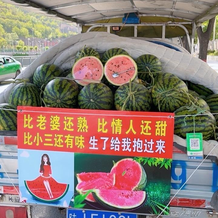小胖西瓜哥