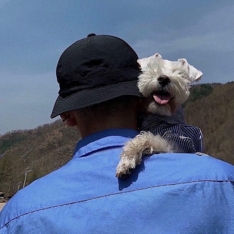 呱呱.