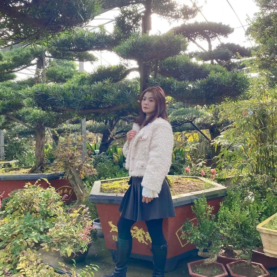大美苗木