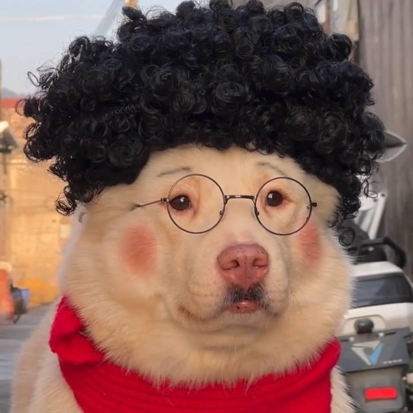 学长说宠