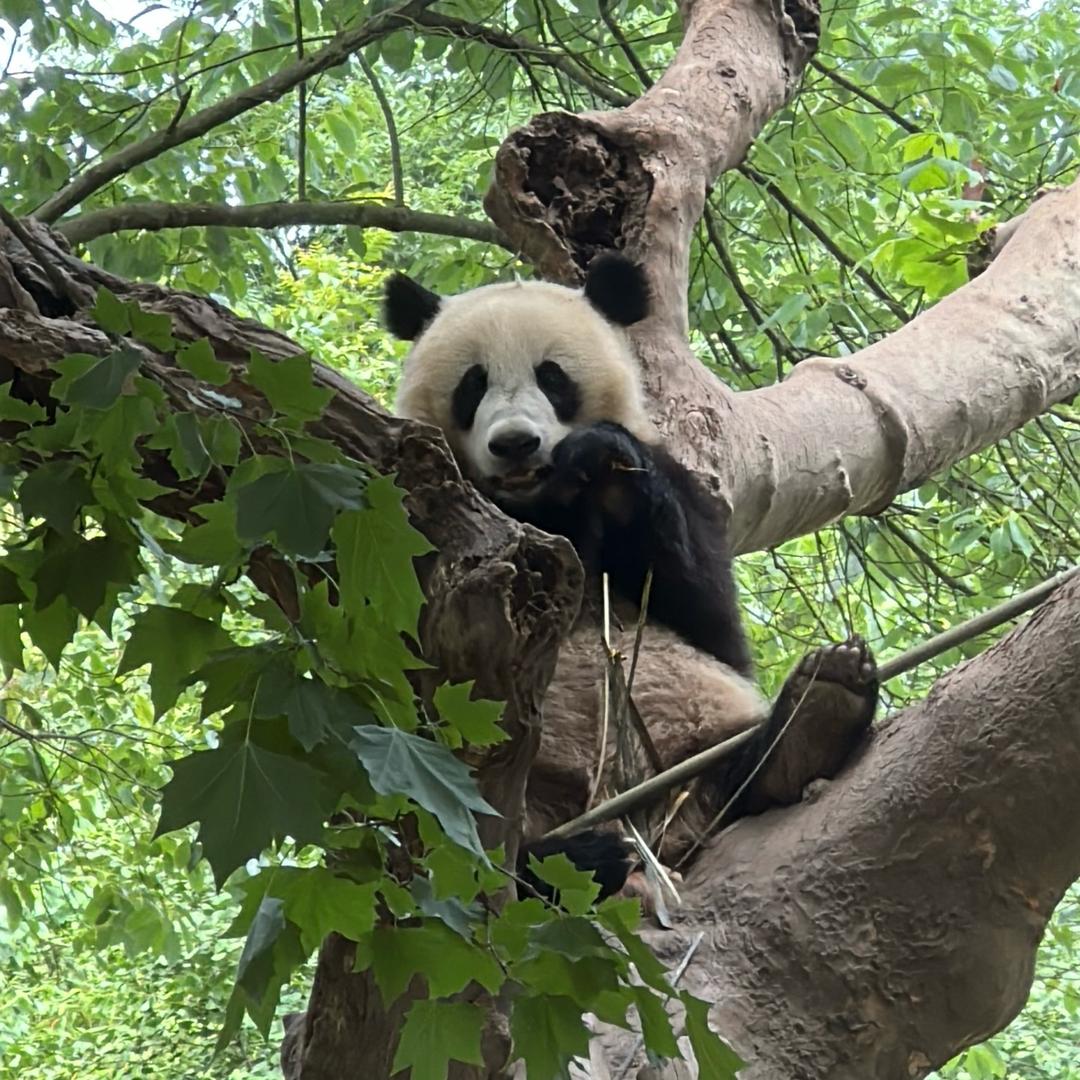 八号机启动