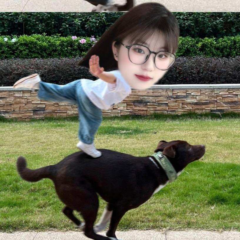 阳光明媚.