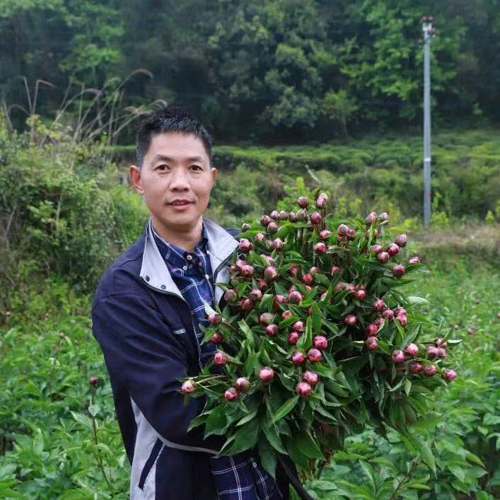勇哥的花园