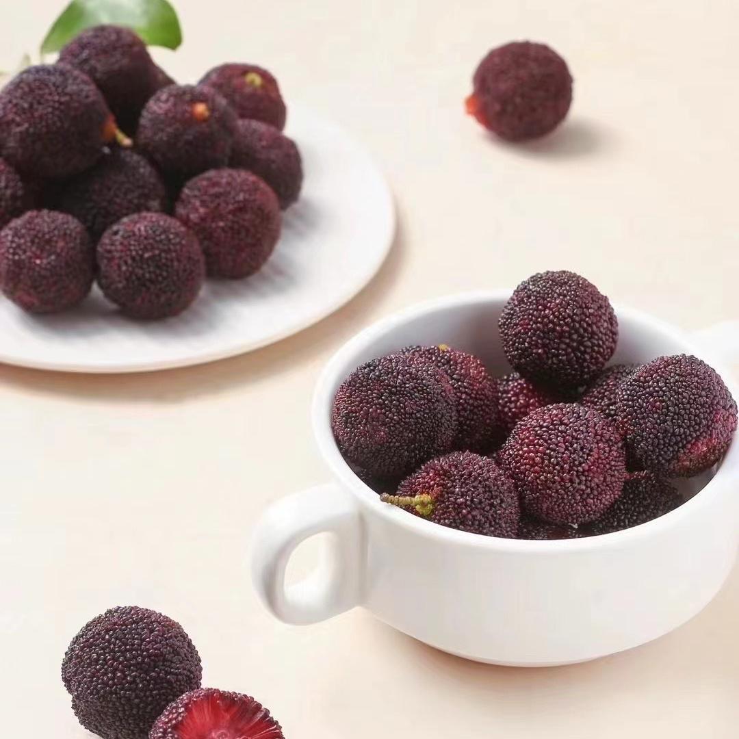 浙仙东魁杨梅零售店甄选