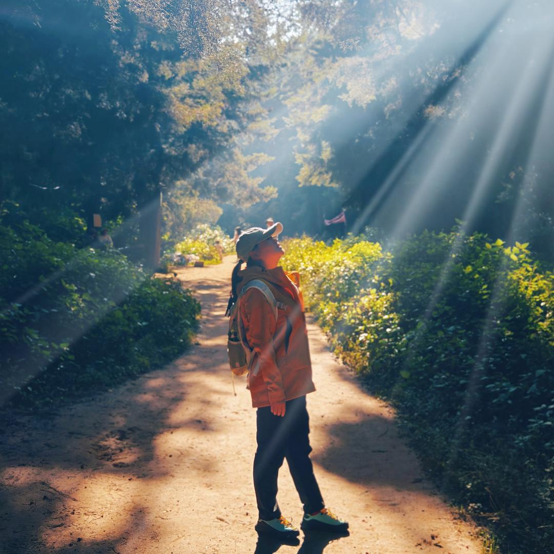 妮妮糖👑（安蕤）🐘