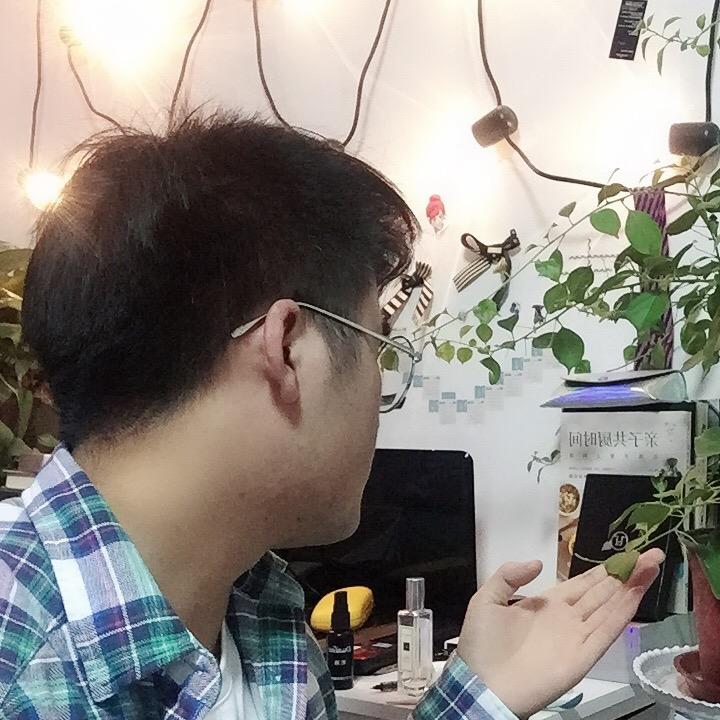 兔森森