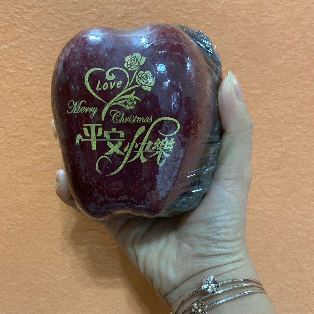 🍒 ঞ᭄金钱豹🐆ഒᩚ࿐