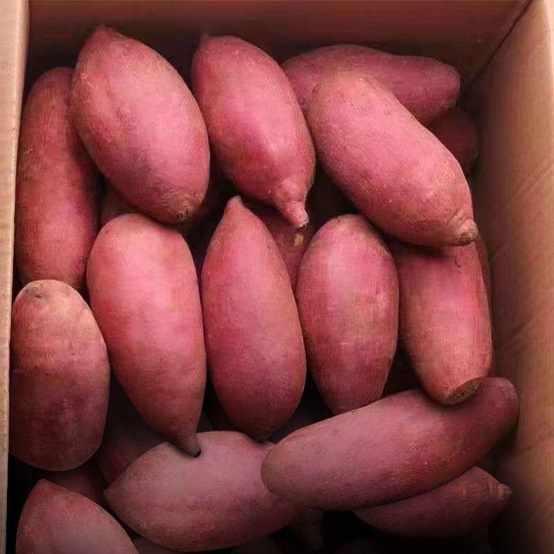 淳亦益耕园农产品