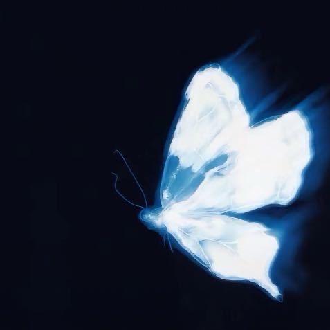花四水