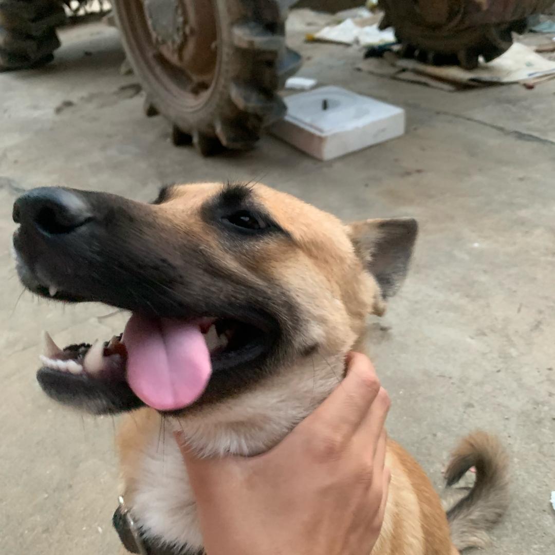 🌈老表你干嘛🌈