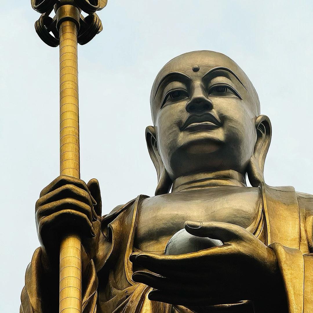 一条命不要了
