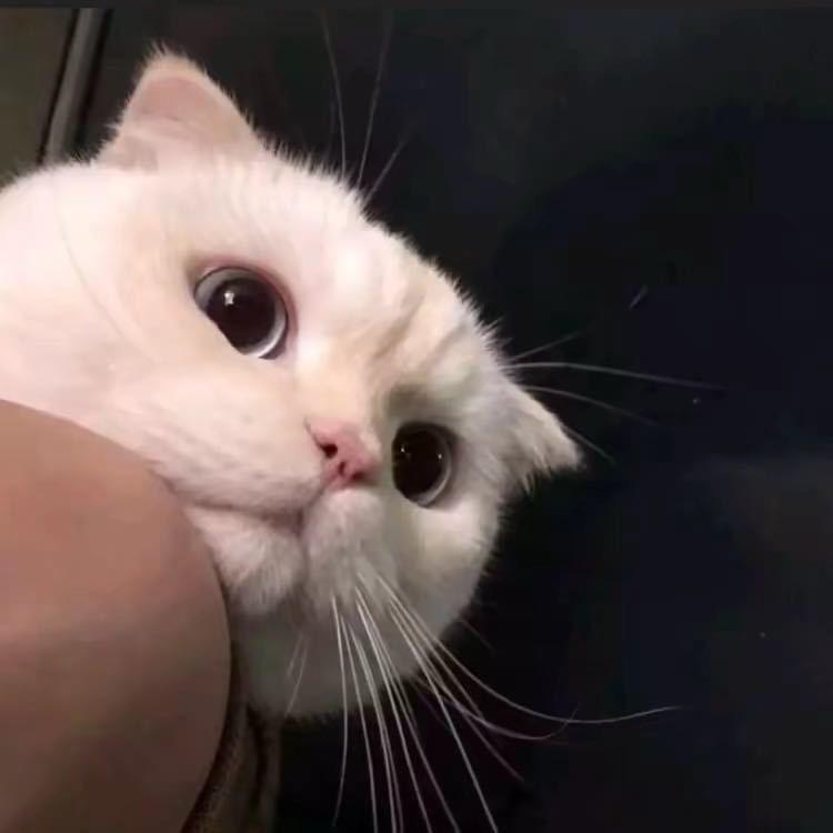@思密哒～