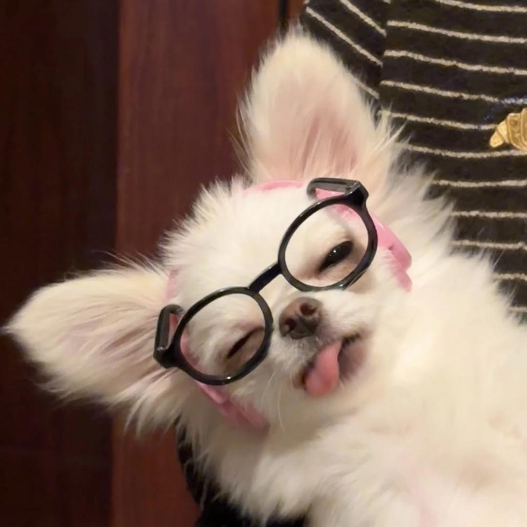 纯情蟑螂火辣辣