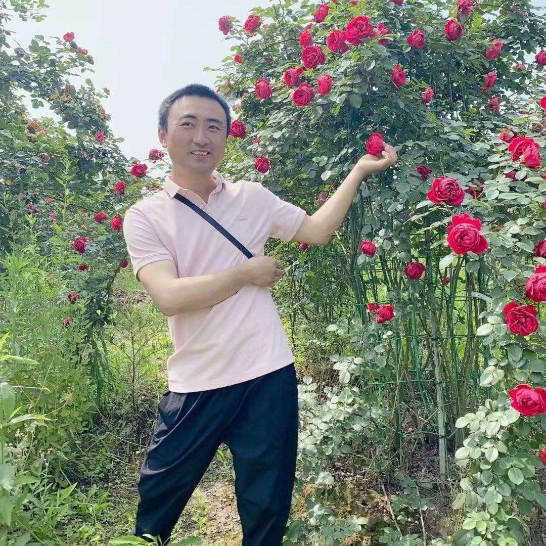 蓝牛面•念哥