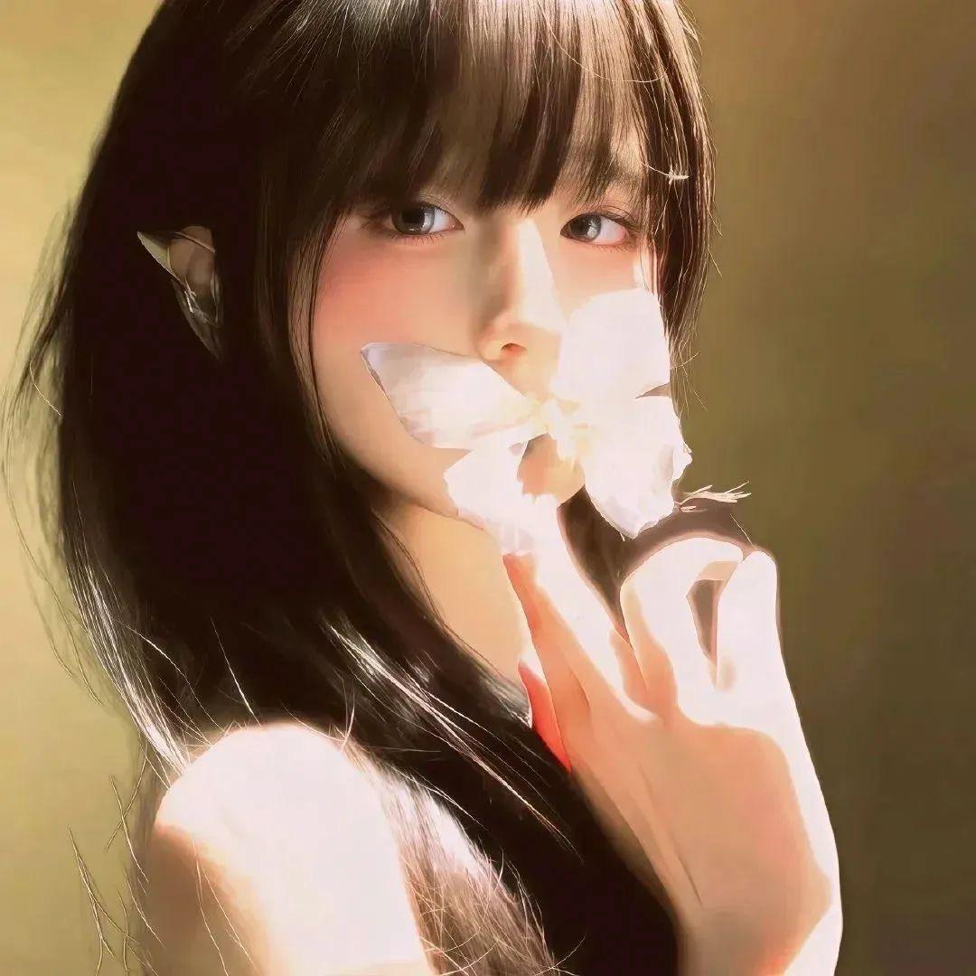 知彗锦