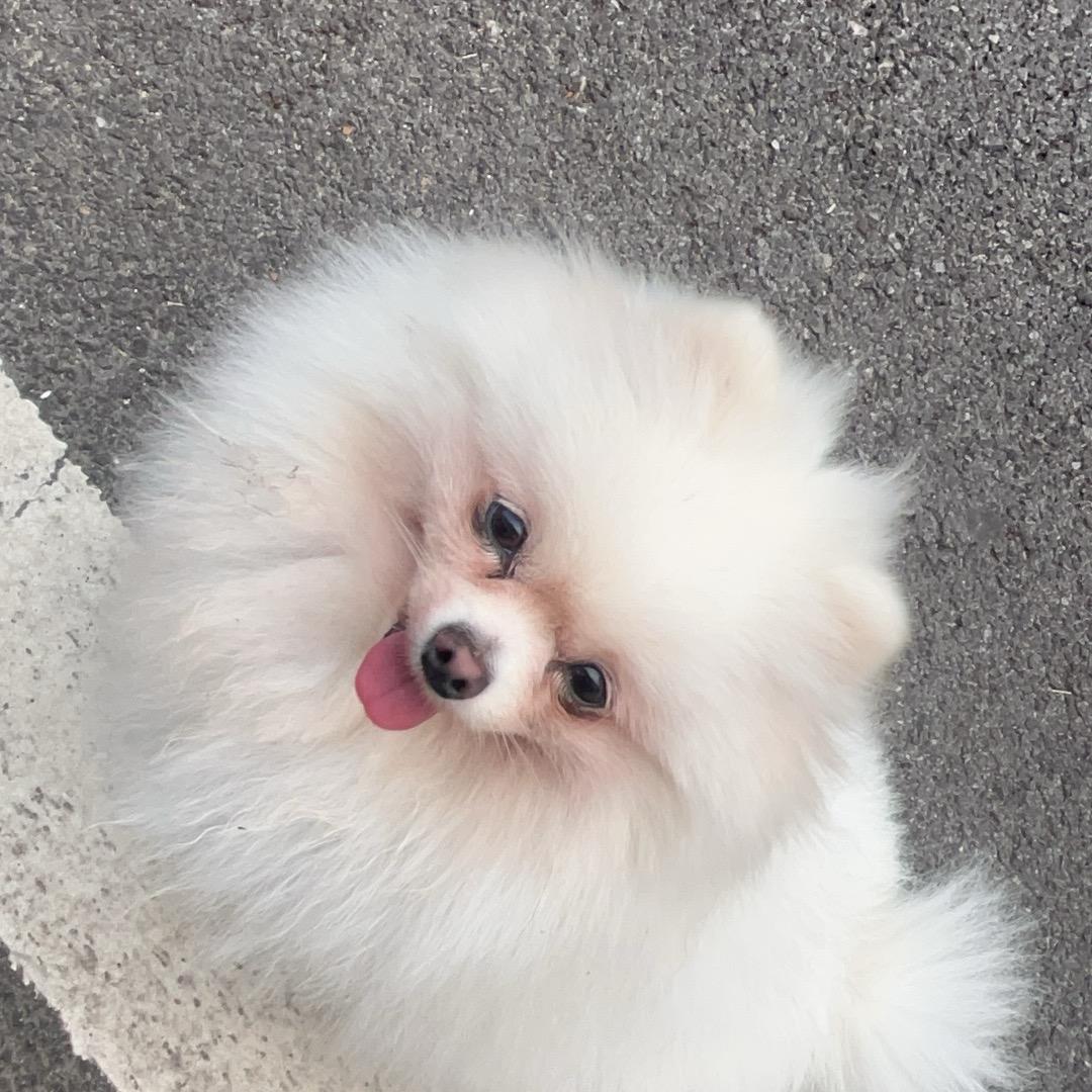 曼景兰古城寻觅私影