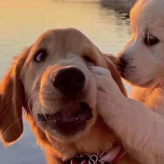 解宝不7️⃣香菜