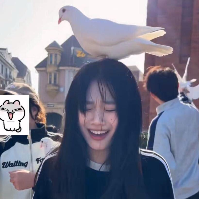 不想吃饭🍚