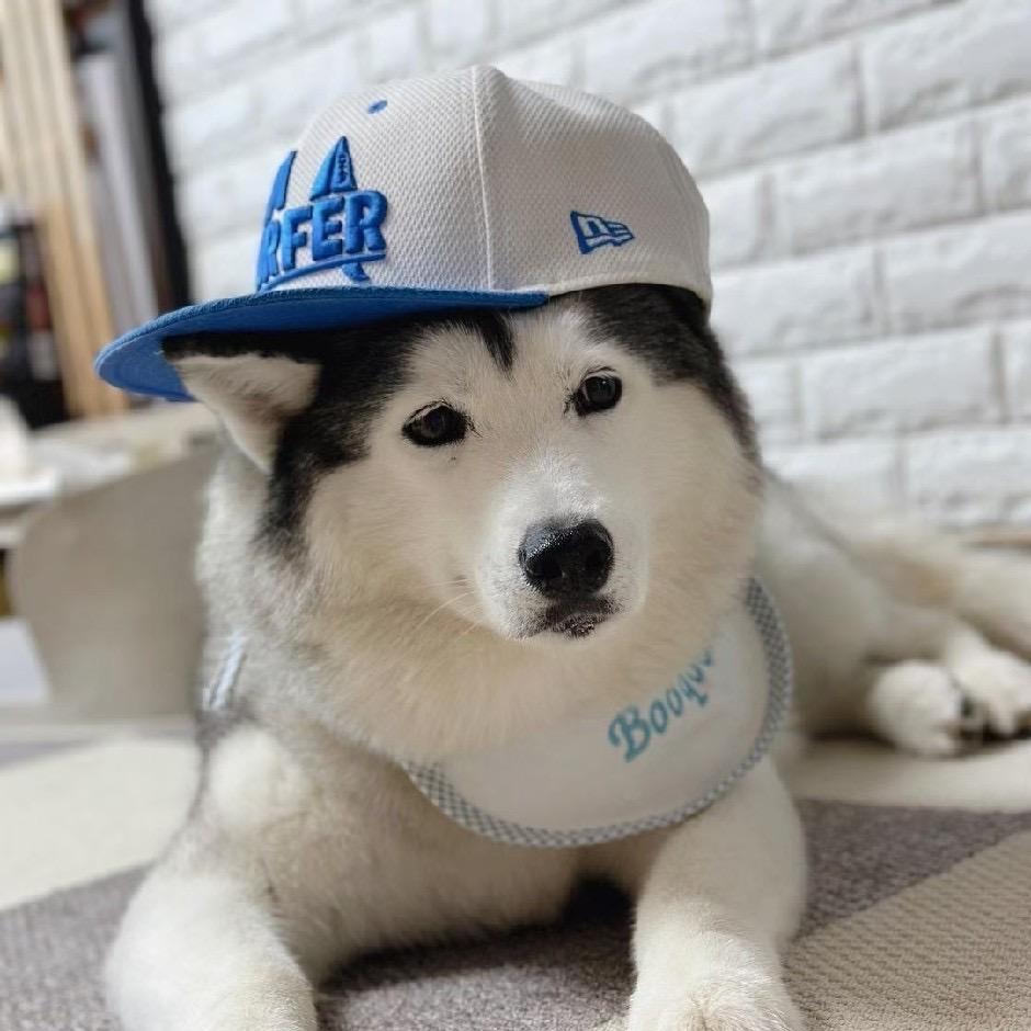 New Era百哈特（看到骂我发作品去）