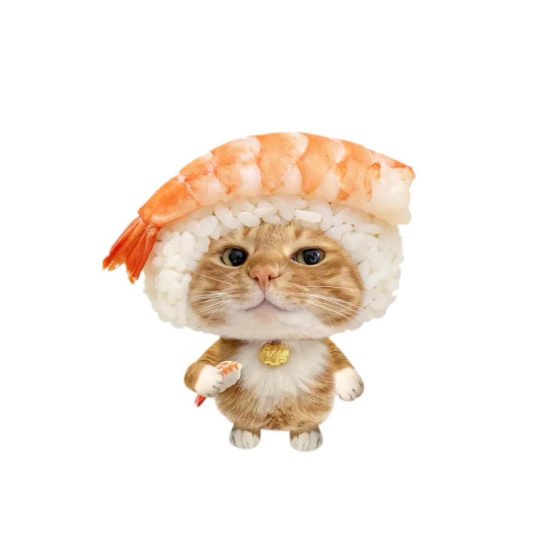 ˶᳐小虾˶᳐੭ﾞ