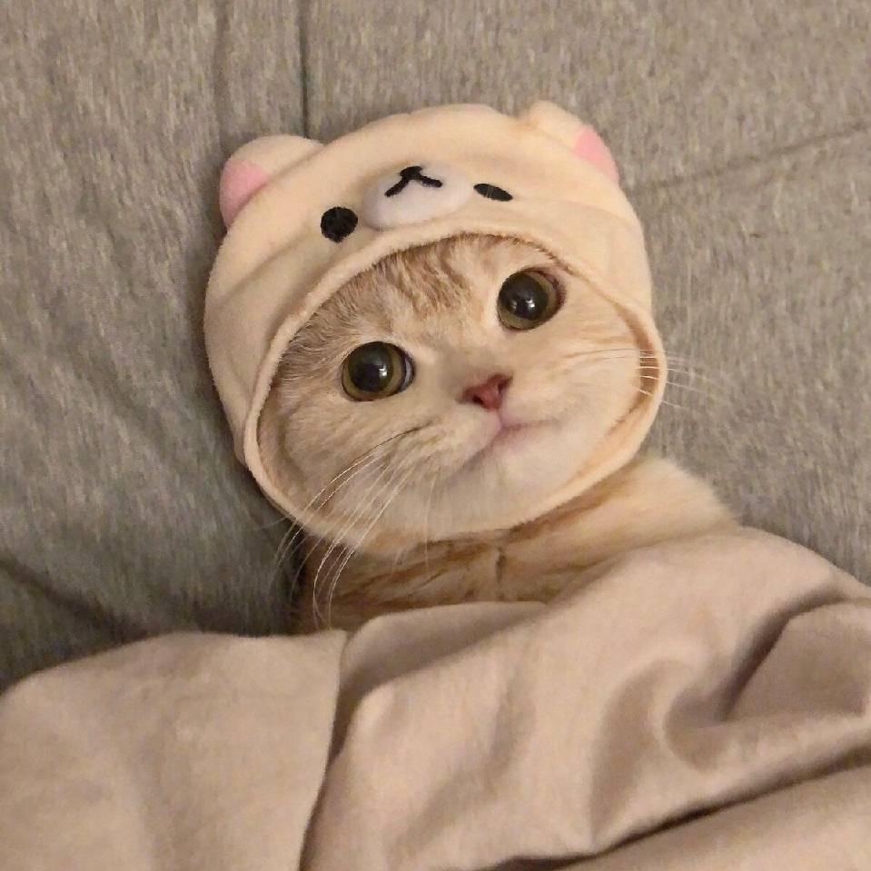 禾你一辈子