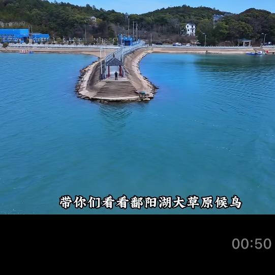 优雅
