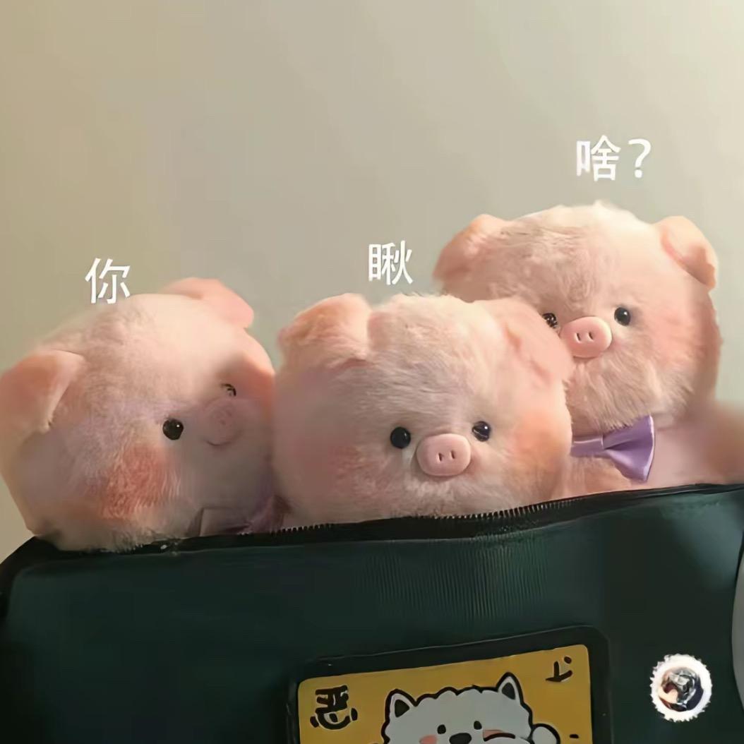 你瞅啥
