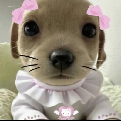 一块生姜