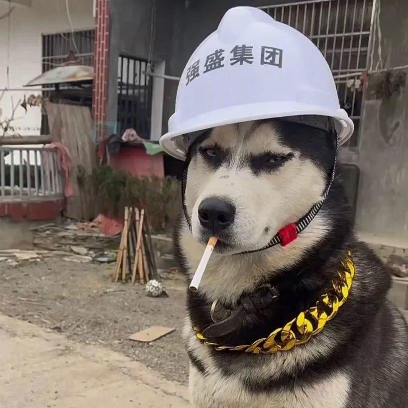 讨 厌