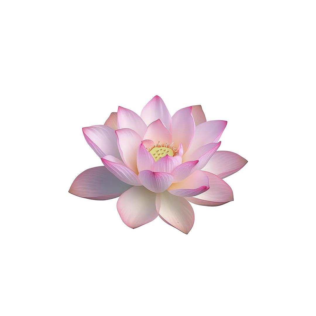早点睡